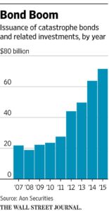 (Image 1: Issuance of catastrophe bonds and related investment by year)